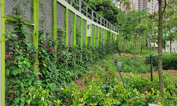 The landscape design of Fai Ming Estate is a good example of integrating nature and conserving native species.